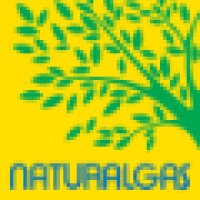 Naturalgas - Logo