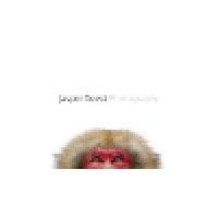 Doest Photography Logo