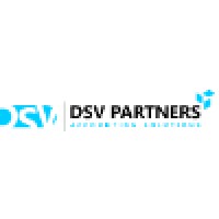 DSV Partners Logo