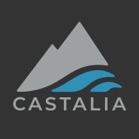 Castalia Communications Corp. Logo