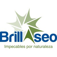 Brillaseo Logo