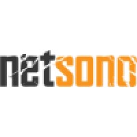 NetSono Ltd Logo