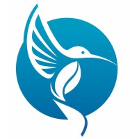 Bluebird Accounting Logo