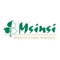 Msinsi Holdings SOC Logo