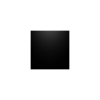 Berners Schober Logo