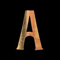 Amante Limoncello Logo