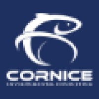 Cornice Environmental Consulting Ltd. Logo