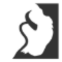 White Buffalo Inc. Logo