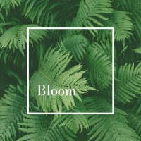 BLOOM - Studio de Méditation Moderne Logo