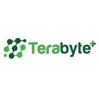 TERABYTE Net Solution Public Co., Ltd. Logo