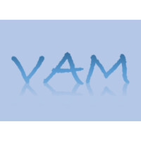 Value Added Metrics Logo