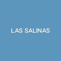 Barrio Las Salinas Logo