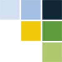 JOINT-STOCK COMPANY SETTLEMENT SOLUTIONS Logo