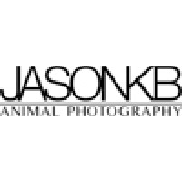 Jason KB Animal Photography Ltd. Logo