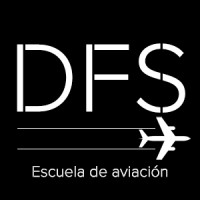 Direct Flight School Logo