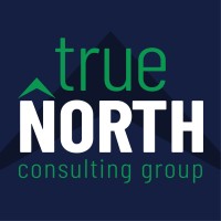 True North Consulting Group Logo