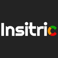 Insitric Marketing Logo
