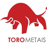 Toro Metais Logo