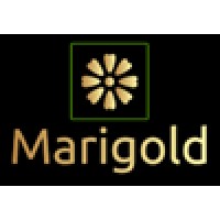 Marigold Consulting Ltd Logo