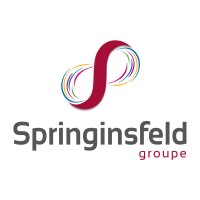 Springinsfeld Groupe Logo