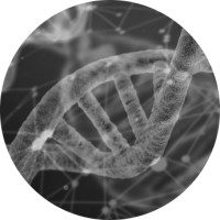 Drishti Discoveries Logo