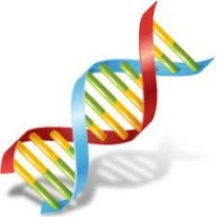 Rosenfeld Consulting Logo