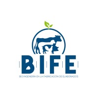 B.I.F.E. Bio Ingeniería en la Fabricación de Elaborados Logo