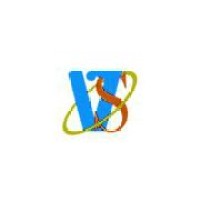 Vyzer Solutions Logo