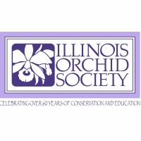 Illinois Orchid Society Logo