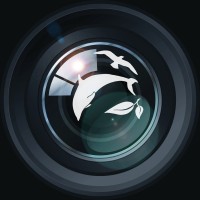 EYESEALAND Visual Media Logo