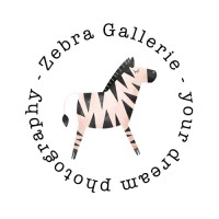 Zebra Gallerie Logo