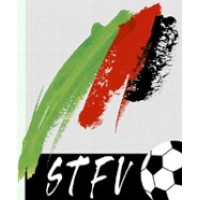 Styrian Football Association Logo