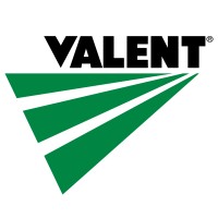 Valent de México Logo