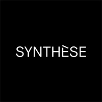SYNTHÈSE - Pôle Image Québec Logo