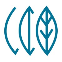RE CAPITAL LLC Logo