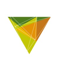 Instituto Vertentes Logo