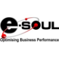 e-Soul Technology Services (Pty) Ltd Logo