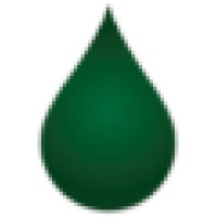 Distilled Wisdom Logo