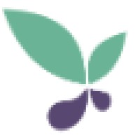 Oregon Coalition Against Domestic & Sexual Violence Logo