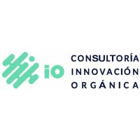 iO Consultoría Logo