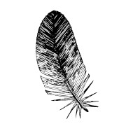 Seventh Generation Fund for Indigenous Peoples Logo