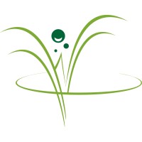 Willow Wellness Center Logo