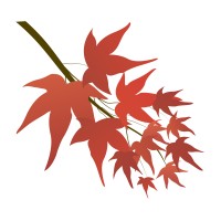 La Mesa Capital Logo