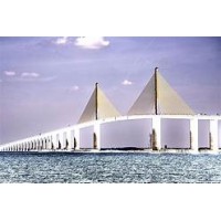 Morgan Consulting Logo