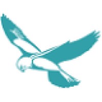 Kestrel Capital Pty Limited Logo