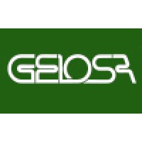 GELOSA International Kitchen and Furniture Logo