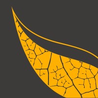 Leafy Code (Pvt) Ltd Logo