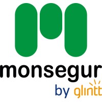 MONSEGUR INFORMATICA SL Logo