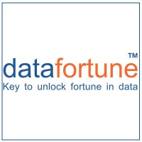 Datafortune Logo