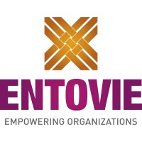 Entovie Business Solutions Logo